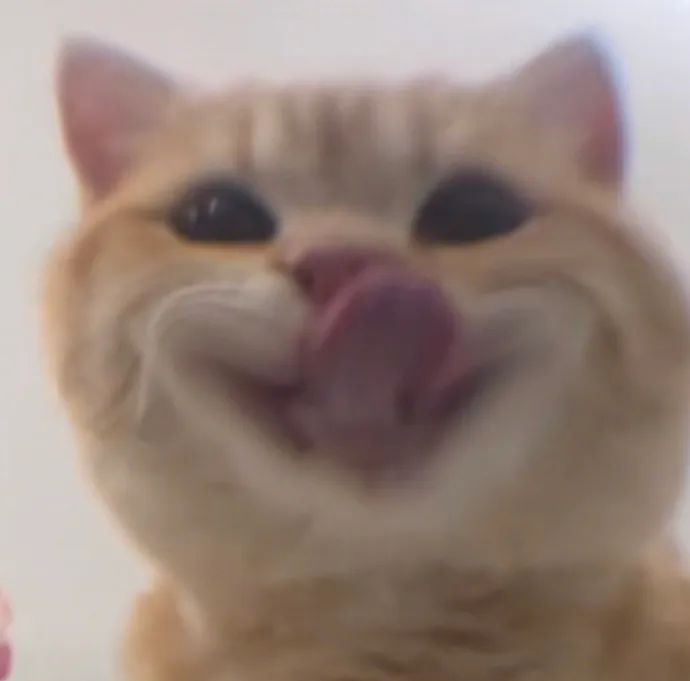 奇奇怪怪可可爱爱！